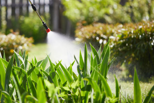 24/7 Emergency Rodent Control experts in North Haverhill, NH