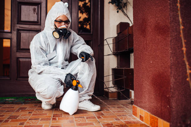 Reliable Rodent Control contractor in North Haverhill, NH by Nex Pest Control