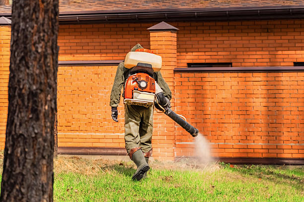 Trusted Rodent Control service in North Haverhill, NH - Nex Pest Control